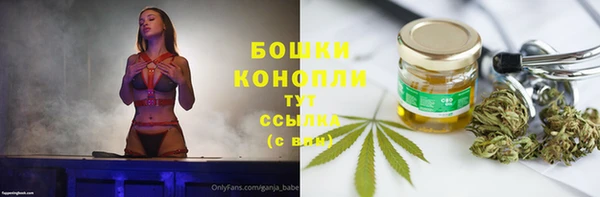 твердый Медногорск