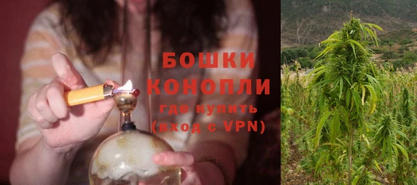 твердый Медногорск