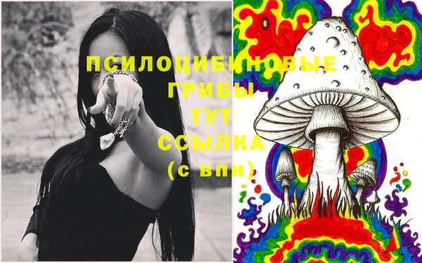 шишки Михайлов