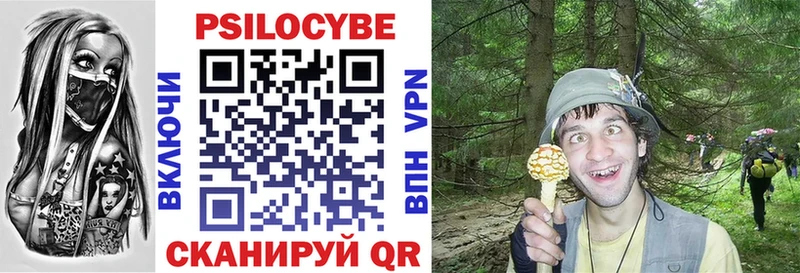 Галлюциногенные грибы Psilocybe Олонец
